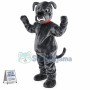 Bull Dog Mascot Costume Adult Costume