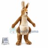  Adult Kangaroo Mascot Costume
