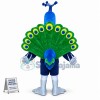 Peacock Mascot Costume
