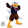 University Eagle Mascot Costume