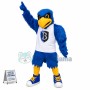 Blue Jay Mascot Costume