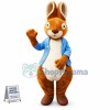 Cute Easter Bunny Mascot Costume