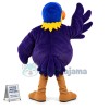 Toucan Mascot Costume