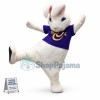 White Rabbit Mascot Costume