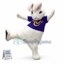 White Rabbit Mascot Costume