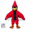 Superb Red Jay Mascot Costume