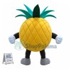 Fierce Pineapple Mascot Costume