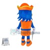 Affordable Pirate Boy Mascot Costume