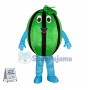 Affordable Watermelon Mascot Costume