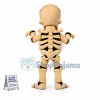 Skeleton Mascot Costume
