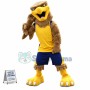 Brown College Hawk Mascot Costume