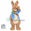 Superb Realistic Peter Rabbit Mascot Costume