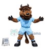 College Bison Mascot Costume