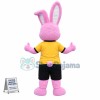 Happy Pink Rabbit Mascot Costume