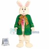 Funny Lightweight Easter Bunny Mascot Costume