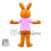 Rabbit Cartoon Mascot Costume
