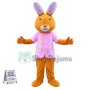 Rabbit Cartoon Mascot Costume
