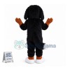 Bernese Mountain Dog Mascot Costume