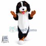 Bernese Mountain Dog Mascot Costume