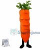 Custom Mascot Carrot Mascot Costume
