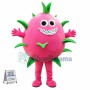 Dragon Fruit Mascot Costume