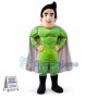 Green Hero Super Man Mascot Costume