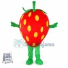 Custom Mascot Strawberry Mascot Costume