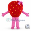 Happy Strawberry Girl Mascot Costume