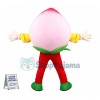 Pink Peach Mascot Costume
