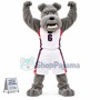 Sturdy College Gray Dog With Collar Mascot Costume