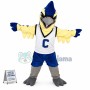 College Falcon of Basketball Team Mascot Costume