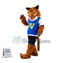 Ablebodied Sports Tiger Adult Mascot Costume