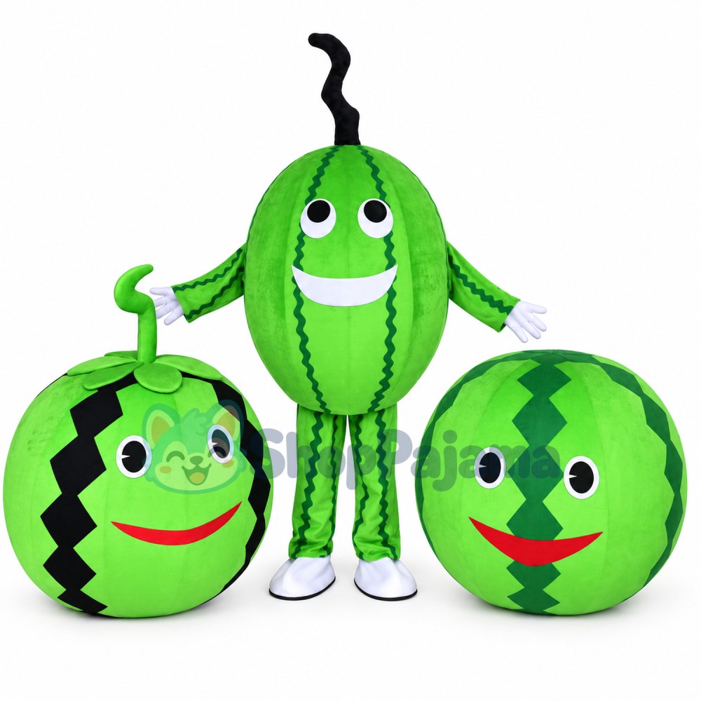 Different Version of Cartoon Watermelon Mascot Costume