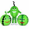 Different Version of Cartoon Watermelon Mascot Costume