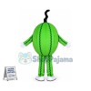 Different Version of Cartoon Watermelon Mascot Costume