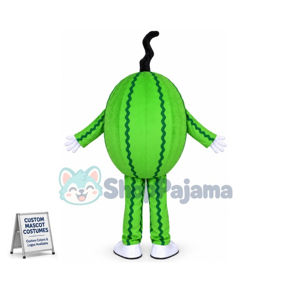Different Version of Cartoon Watermelon Mascot Costume