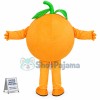 Adult Interesting Cartoon Orange Mascot Costume