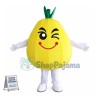 Cartoon Version Big Grapefruit Mascot Costume
