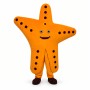 Gorgeous Orange Starfish Cartoon Mascot Costume