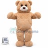  Large Size Cartoon Plush Toy Bear Mascot Costume