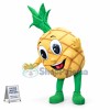 Pineapple Mascot Costume