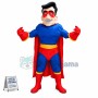 Blue & Red Superhero Mascot Costume