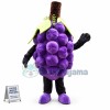 Custom Mascot Grape Mascot Costume