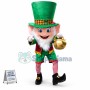 Leprechaun Irish Man Boy Mascot Costume
