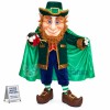 Leprechaun Elf Mascot Costume