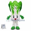Superb Cabbage Mascot Costume