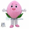Custom Mascot Peach Mascot Costume