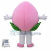 Custom Mascot Peach Mascot Costume
