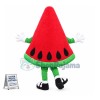 Custom Mascot Watermelon Mascot Costume Adult Size Cartoon Happy Fruit Watermelon