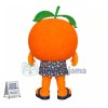 Top Quality Orange Mascot Costume
